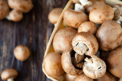 Aramark Pilze Info Champignons