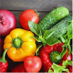 rote, gelbe und grüne Gemüse liefern viel Carotin