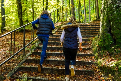 Bewegung foerdert die Gehirnleistung wie hier beim Laufen im Wald